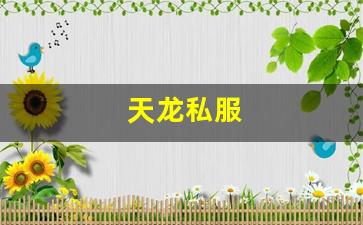 天龙八部3私服：天龙私服(天龙手游) (