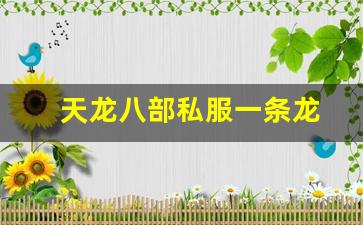 天龙游戏：天龙八部私服一条龙(天龙八部架
