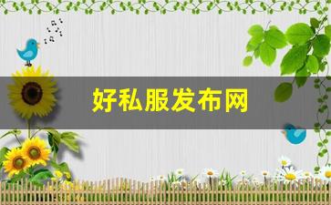 好私服发布网 (10)